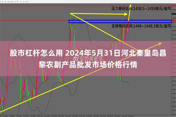 股市杠杆怎么用 2024年5月31日河北秦皇岛昌黎农副产品批发市场价格行情