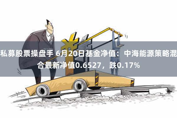 私募股票操盘手 6月20日基金净值：中海能源策略混合最新净值0.6527，跌0.17%