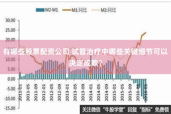 有哪些股票配资公司 试管治疗中哪些关键细节可以决定成败？