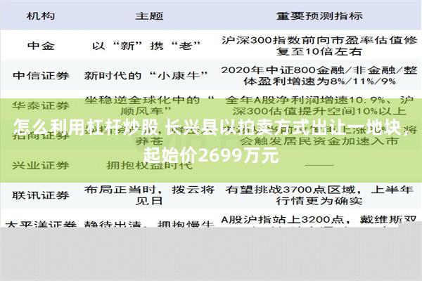 怎么利用杠杆炒股 长兴县以拍卖方式出让一地块，起始价2699万元