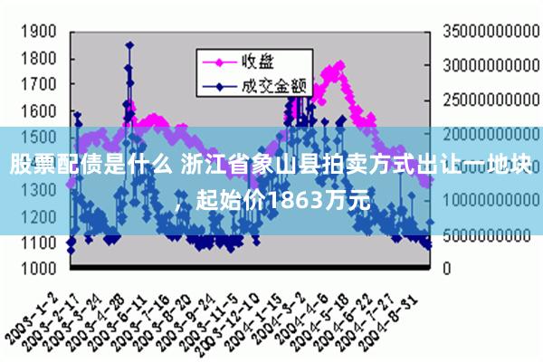 股票配债是什么 浙江省象山县拍卖方式出让一地块，起始价1863万元