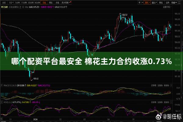 哪个配资平台最安全 棉花主力合约收涨0.73%