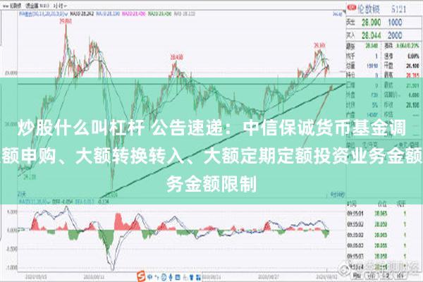 炒股什么叫杠杆 公告速递：中信保诚货币基金调整大额申购、大额转换转入、大额定期定额投资业务金额限制