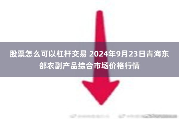 股票怎么可以杠杆交易 2024年9月23日青海东部农副产品综合市场价格行情