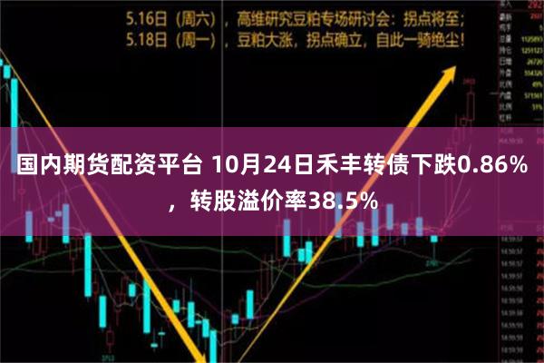 国内期货配资平台 10月24日禾丰转债下跌0.86%，转股溢价率38.5%