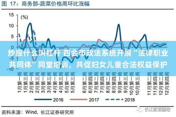 炒股什么叫杠杆 四会市政法系统开展“法律职业共同体”同堂培训，共促妇女儿童合法权益保护