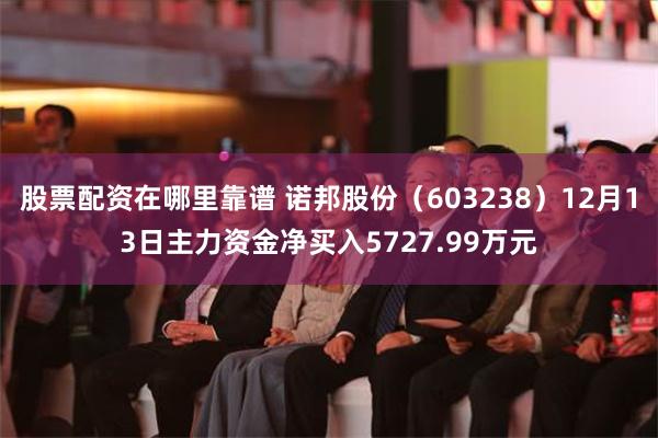 股票配资在哪里靠谱 诺邦股份（603238）12月13日主力资金净买入5727.99万元