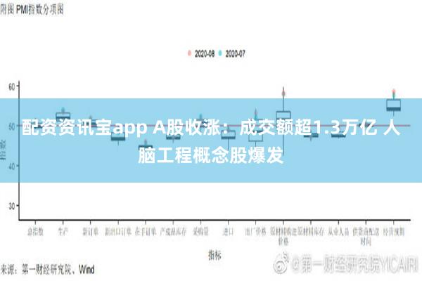 配资资讯宝app A股收涨：成交额超1.3万亿 人脑工程概念股爆发