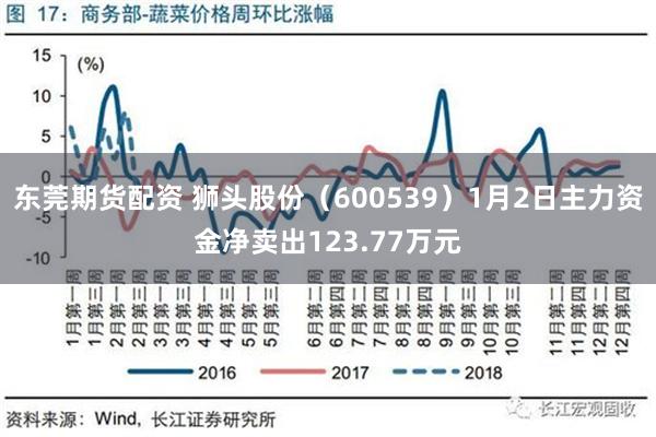 东莞期货配资 狮头股份（600539）1月2日主力资金净卖出123.77万元