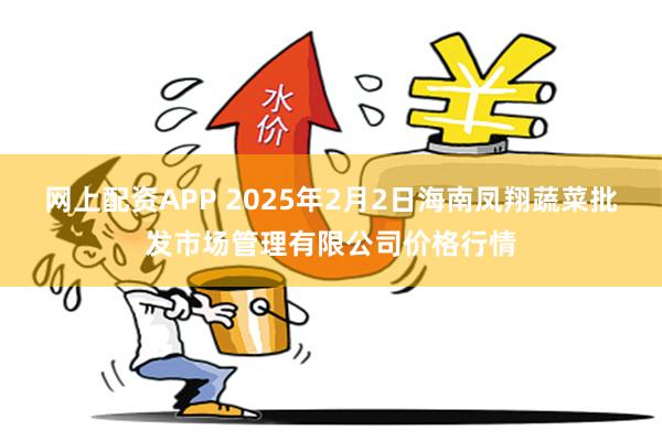 网上配资APP 2025年2月2日海南凤翔蔬菜批发市场管理有限公司价格行情