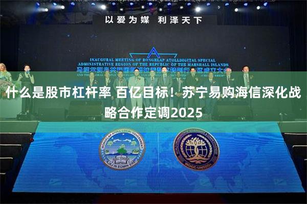 什么是股市杠杆率 百亿目标！苏宁易购海信深化战略合作定调2025